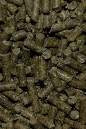Boer Caviakorrel 5kg Direct Beschikbaar